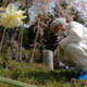 Foto: Un investigador midiendo los niveles de radiación en Fukushima. Shizuo Kambayashi/AP Images.